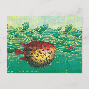 Cartão Postal Puffer Fish