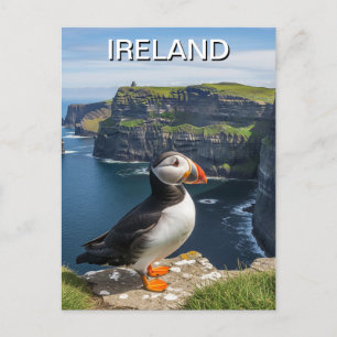 Cartão Postal Puffin em Cliff da Viagem da Moher Ireland
