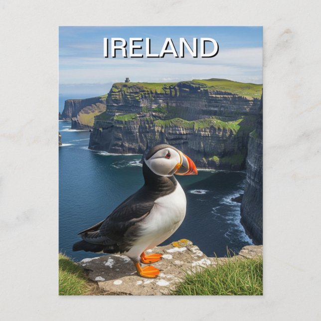 Cartão Postal Puffin em Cliff da Viagem da Moher Ireland (Frente)