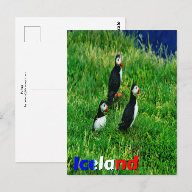 Cartão Postal Puffins (Frente/Verso)