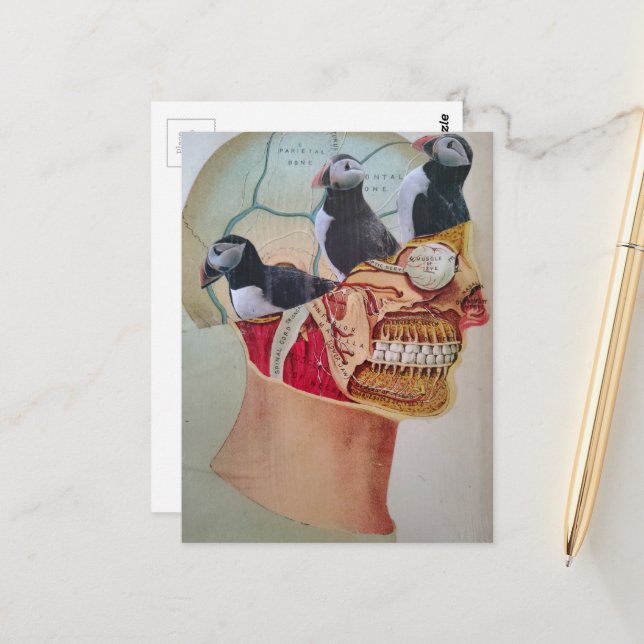Cartão Postal Puffins on the Brain Surreal mixed media collage  (Frente/Verso In Situ)