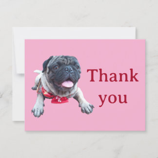 Cartão Postal pug