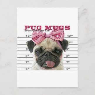 Cartão Postal Pug