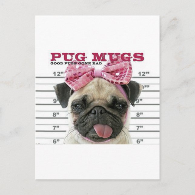 Cartão Postal Pug (Frente)