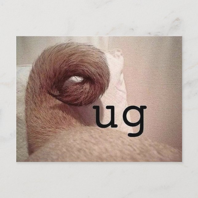 Cartão Postal Pug (Frente)