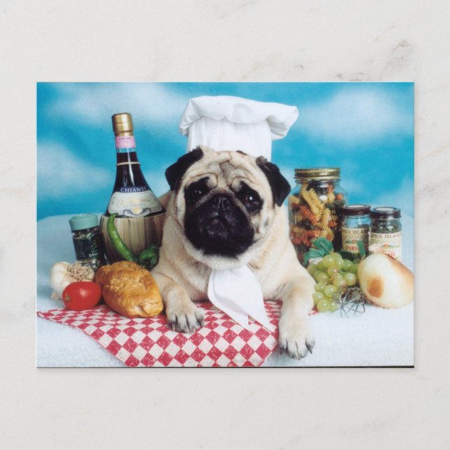 Cartão Postal Pug Dog Chef (Frente)