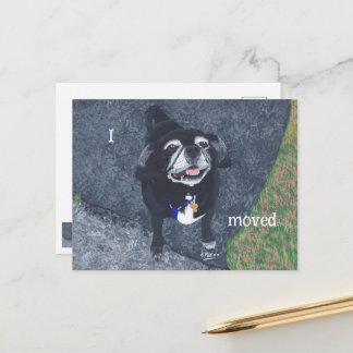 Cartão Postal Pug Dog New Address Postcards