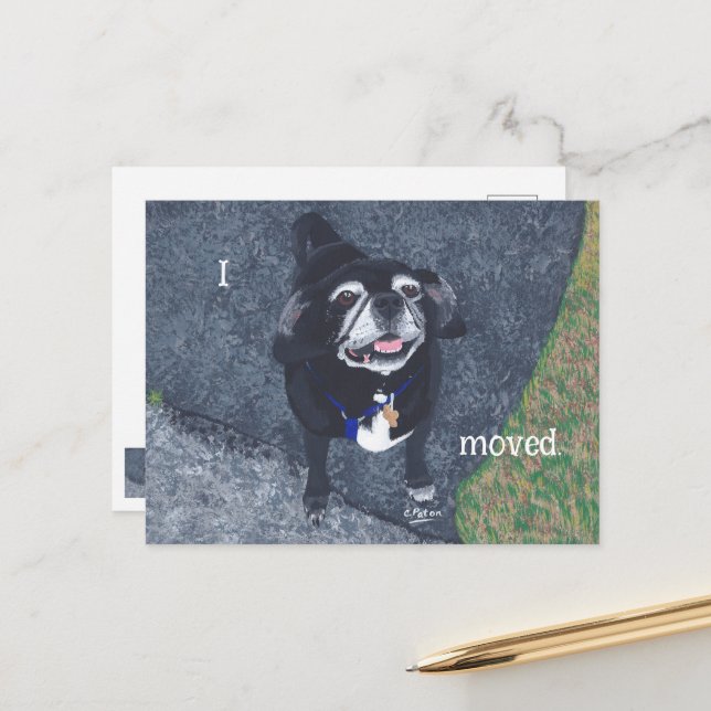 Cartão Postal Pug Dog New Address Postcards (Frente/Verso In Situ)
