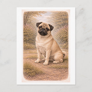 Cartão Postal Pug Estilo Vintage