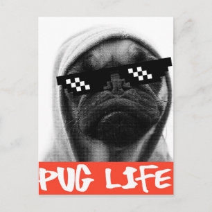 Cartão Postal Pug Life