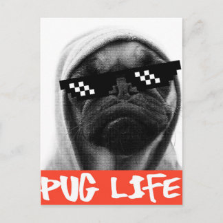 Cartão Postal Pug Life