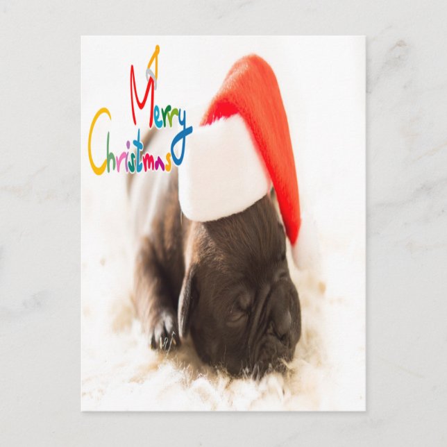 Cartão Postal Pug Natal (Frente)
