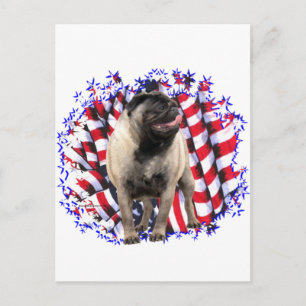 Cartão Postal Pug Patriot