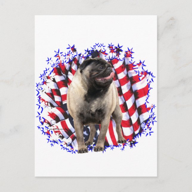 Cartão Postal Pug Patriot (Frente)