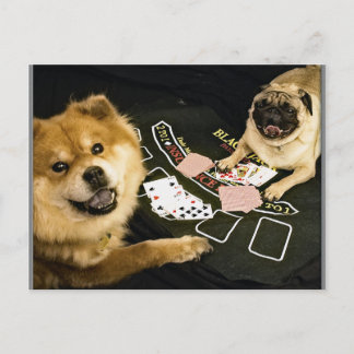 Cartão Postal Pug Poker