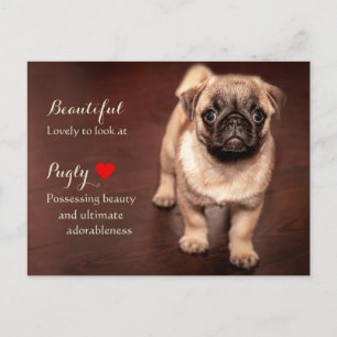 Cartão Postal Pug Puppy