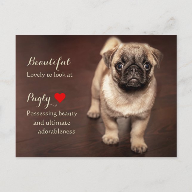 Cartão Postal Pug Puppy (Frente)