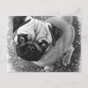 Cartão Postal Pug Puppy Dog Art