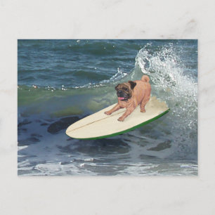 Cartão Postal Pug Surfer Dude