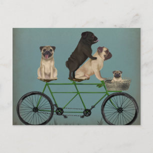 Cartão Postal Pug Tandem