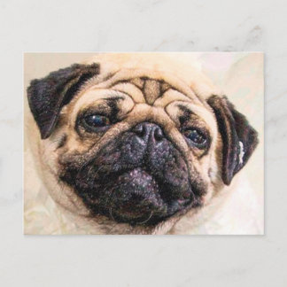 Cartão Postal Pugged