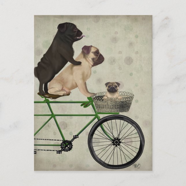 Cartão Postal Pugs na Bicicleta (Frente)