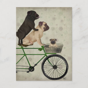 Cartão Postal Pugs na Bicicleta