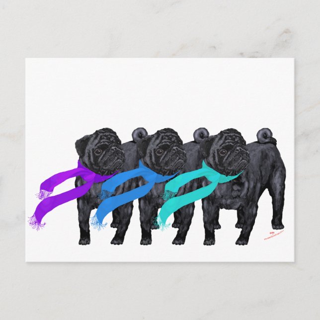 Cartão Postal Pugs Pretos com Cachecóis (Frente)