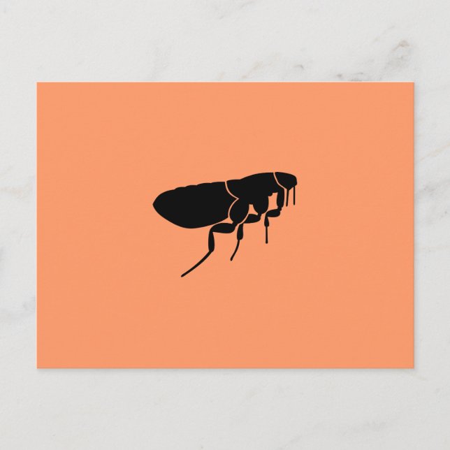 Cartão Postal Pulga (Frente)