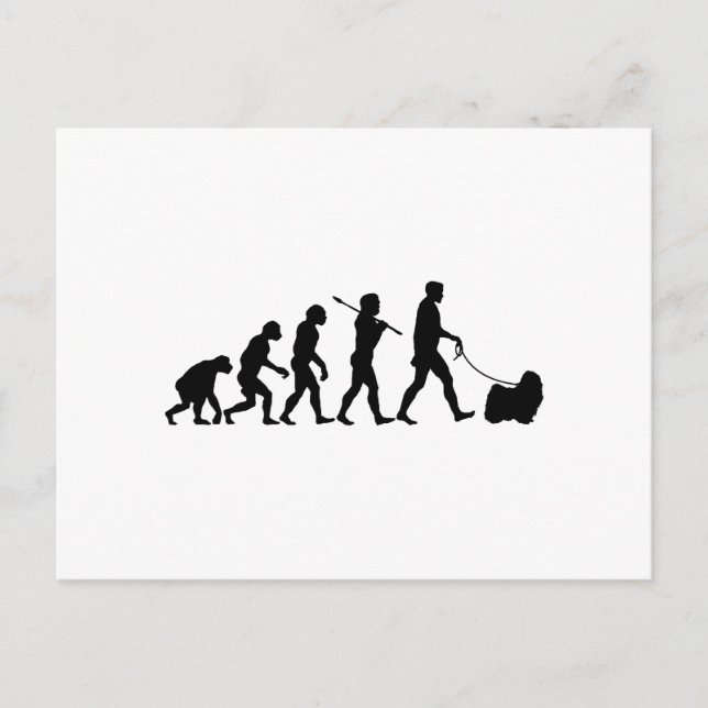 Cartão Postal Puli (Frente)