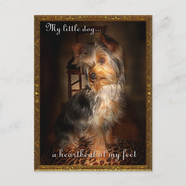 Cartão Postal Pulso nos meus pés (Frente)