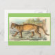 Cartão Postal Puma (Frente/Verso)
