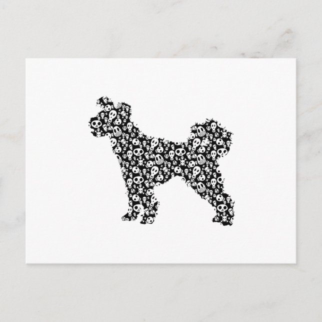 Cartão Postal Pumi (Frente)