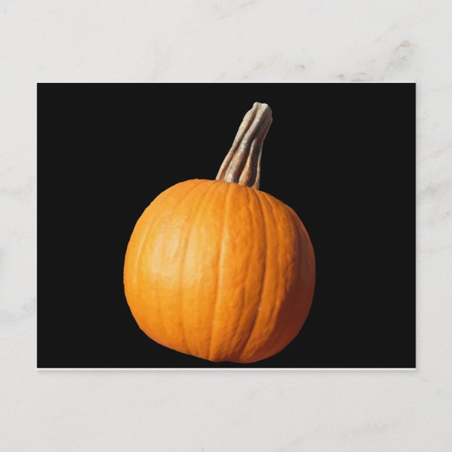 CARTÃO POSTAL PUMPKIN (Frente)