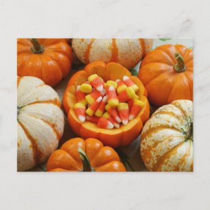 Cartão Postal Pumpkin e Candy Corn