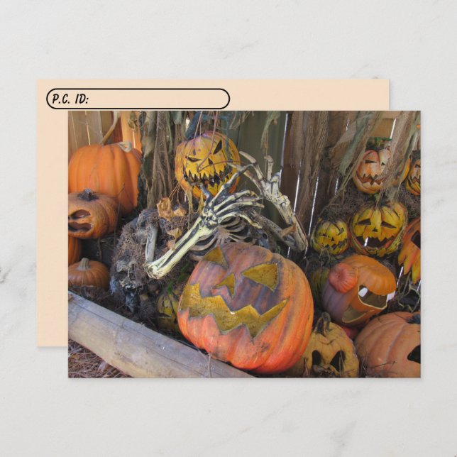 Cartão postal - Pumpkin Ghoul Halloween (Frente/Verso)