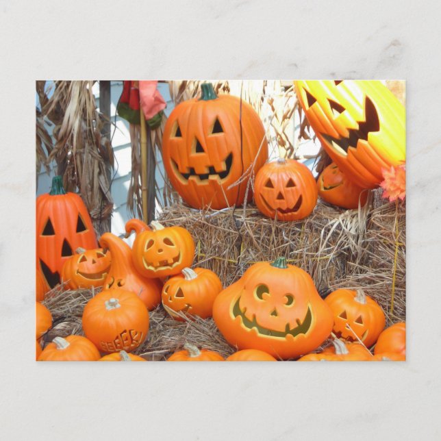 Cartão Postal Pumpkin halloween jack ou lanterna - abóboras lara (Frente)