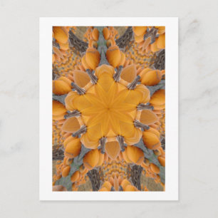Cartão Postal Pumpkin Kaleidoscópio