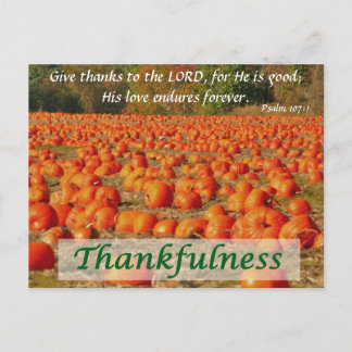 Cartão Postal Pumpkin Patch - Agradeço