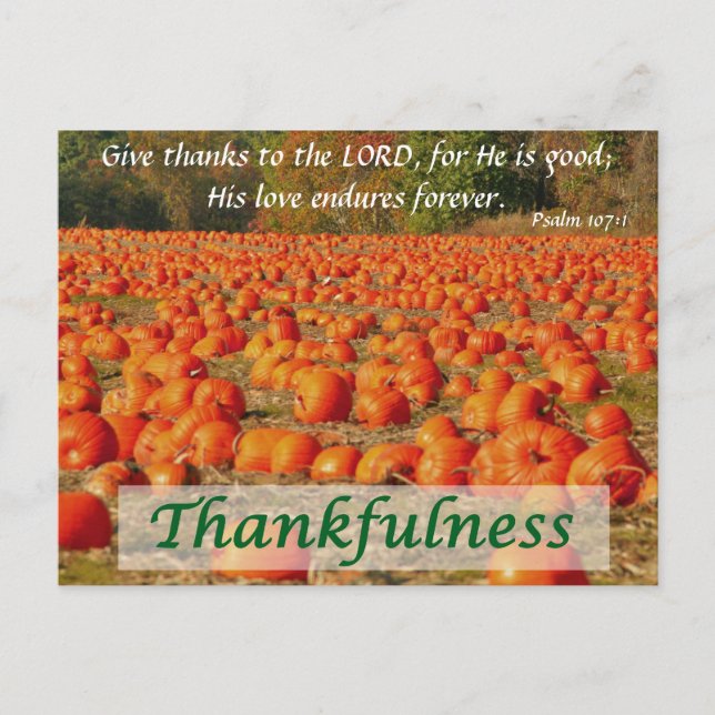 Cartão Postal Pumpkin Patch - Agradeço (Frente)