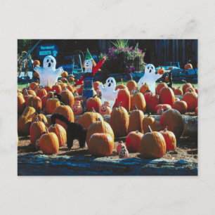 Cartão Postal Pumpkin Patch com Fantasmas - Cartão-postal