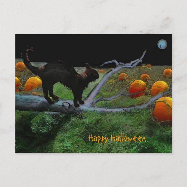 Cartão Postal Pumpkin patch, Feliz Dia das Bruxas (Frente)