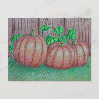 Cartão Postal Pumpkins