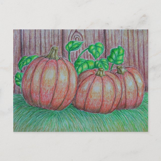 Cartão Postal Pumpkins (Frente)