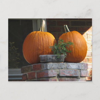 Cartão Postal Pumpkins