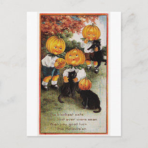 Cartão Postal Pumpkins e Gatos Vintage Halloween