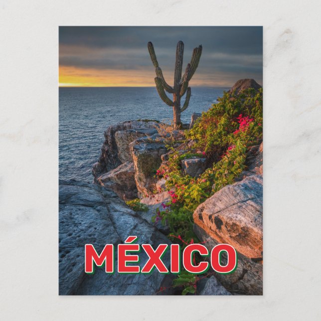 Cartão Postal Punta Lobos, Baixa Califórnia, México (Frente)