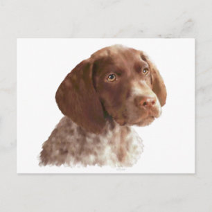 Cartão Postal Puppia Shorthair Alemã
