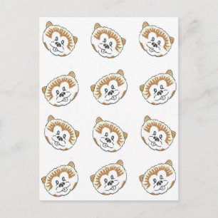 Cartão Postal Puppies Pomeranianos