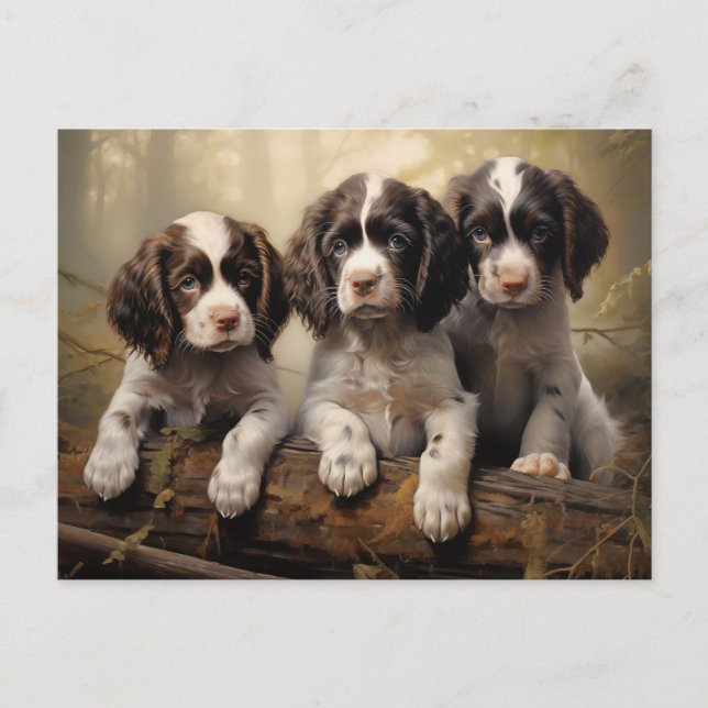 Cartão Postal Puppp Spaniel inglês springer (Frente)